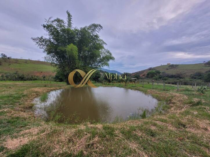 Fazenda à venda com 3 quartos, 20000m² - Foto 18