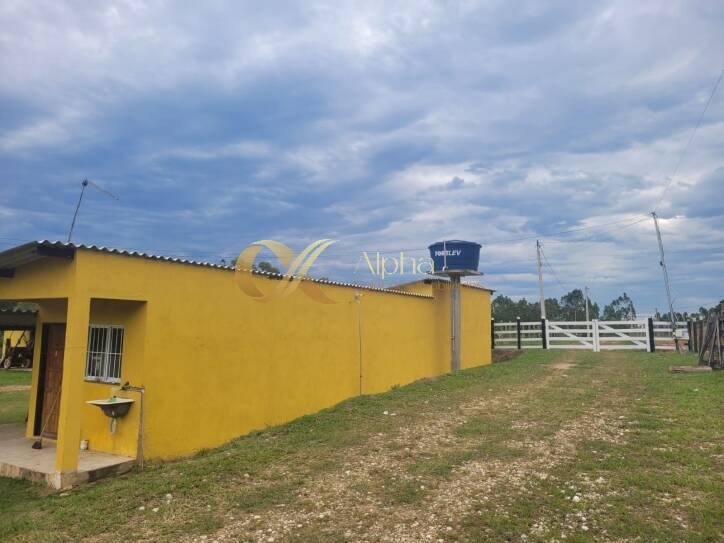 Fazenda à venda com 3 quartos, 20000m² - Foto 22