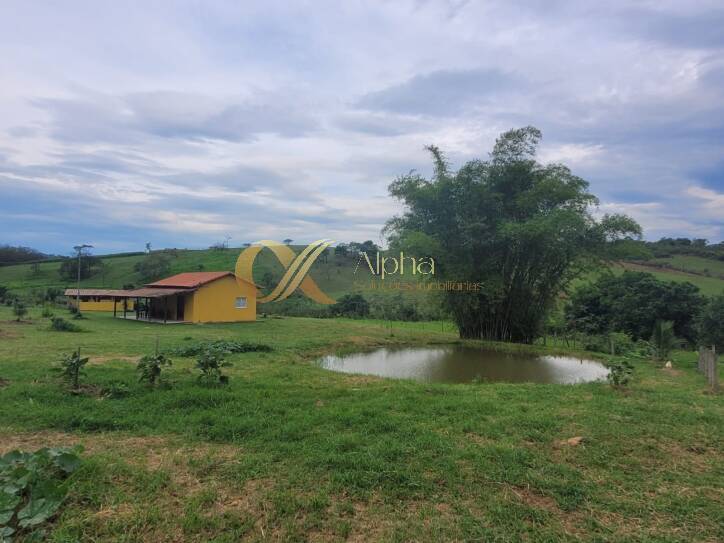 Fazenda à venda com 3 quartos, 20000m² - Foto 19